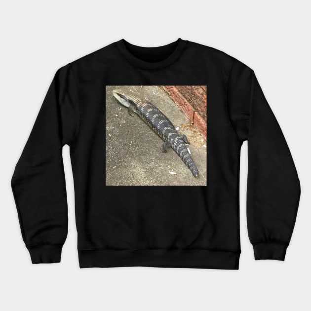 Australian Blue Tongue Lizard ! Crewneck Sweatshirt by Mickangelhere1